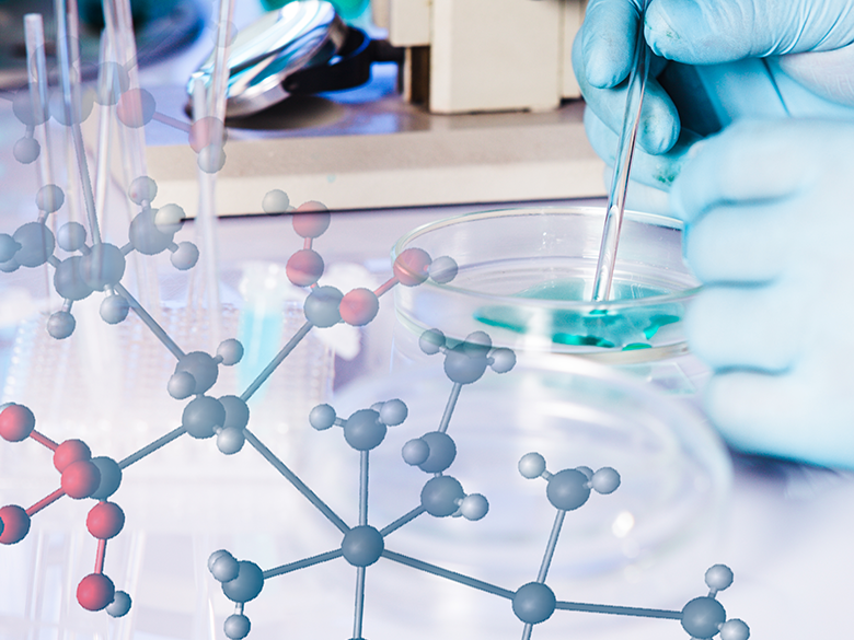 完善的(de)項目管理(lǐ)體(tǐ)系