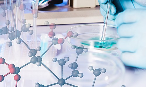 完善的(de)項目管理(lǐ)體(tǐ)系