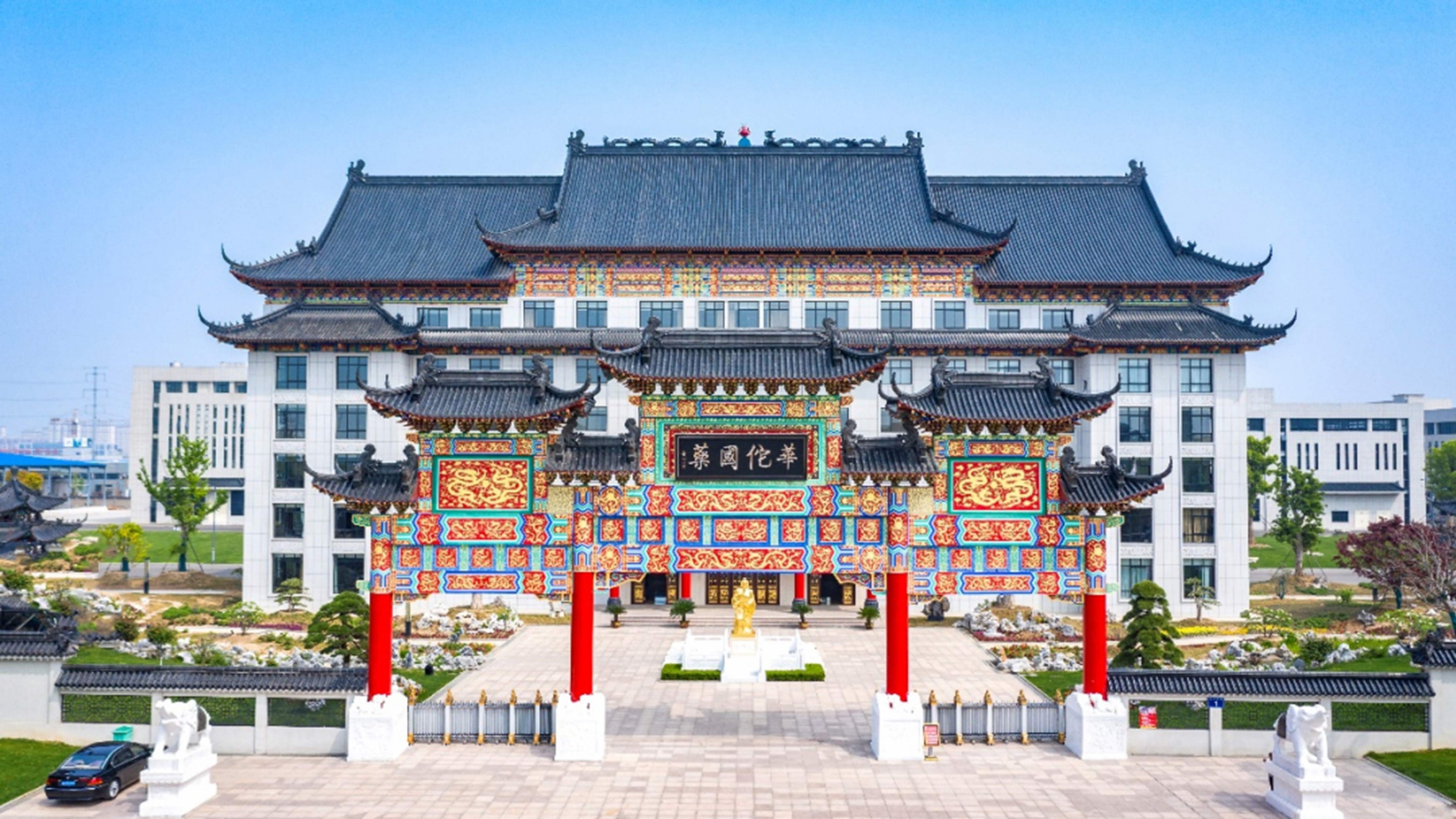 弘揚中醫(yī)藥文(wén)化(huà)，傳承中醫(yī)藥精華——華佗國(guó)藥在行(xíng)動